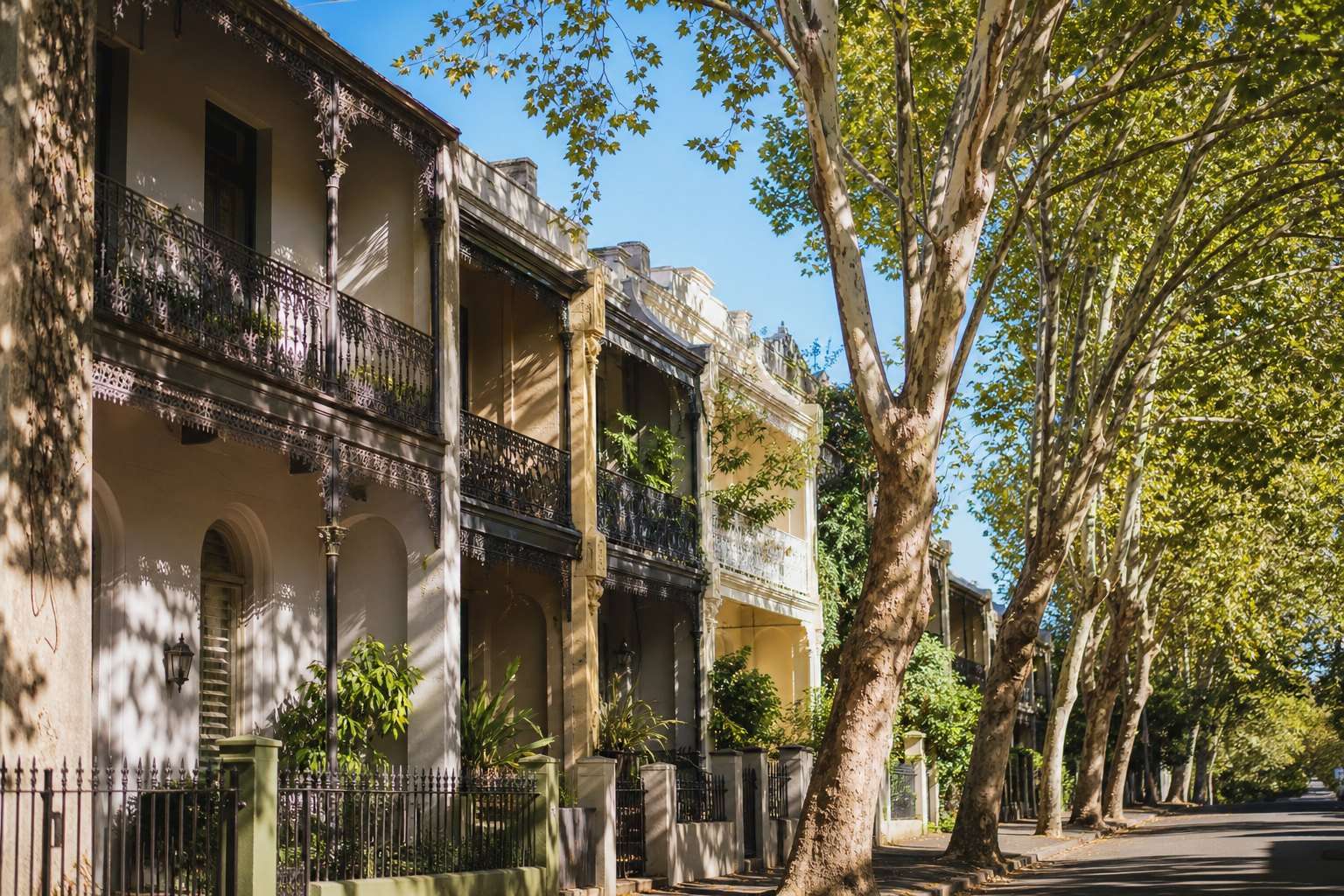 Terrace houses and street trees on a sunny inner Sydney street